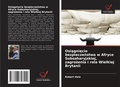 Cover: Osiagniecie bezpieczenstwa w Afryce Subsaharyjskiej, zagrozenia i rola Wielkiej Brytanii - Wydawnictwo Nasza Wiedza