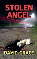 Cover: Stolen Angel - David Grace