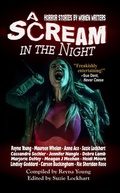 Cover: A Scream in the Night - Black Bed Sheet Books