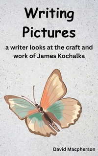 Enlarge image Cover: Writing Pictures - David Macpherson