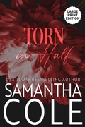 Cover: Torn in Half - Suspenseful Seduction Publishing