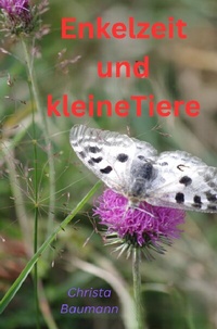 Abbildung von: Mit den Enkeln durchs Jahr / Enkelzeit und kleine Tiere - epubli