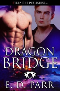 Abbildung von: Dragon Bridge - evernightpublishing