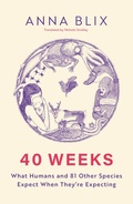 Cover: 40 Weeks - MacLehose Press