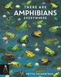 Cover: There Are Amphibians Everywhere - Big Picture Press