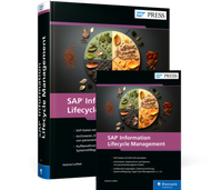 Abbildung von: SAP Information Lifecycle Management - Rheinwerk