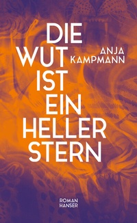 Abbildung von: Die Wut ist ein heller Stern - Hanser