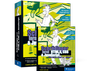 Cover: Schrödinger lernt HTML5, CSS und JavaScript - Rheinwerk