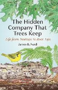 Abbildung von: The Hidden Company That Trees Keep - Princeton University Press