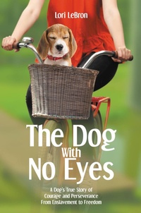 Abbildung von: The Dog With No Eyes - Hawes & Jenkins Publishing, Inc.