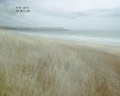 Cover: Stillness. In Motion. - kozu books