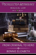 Cover: From Criminal to Hero (Uncollected Anthology: Magical Law #36) - My Big Fat Orange Cat Publishing
