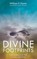 Cover: Divine Footprints - Wipf and Stock Publishers