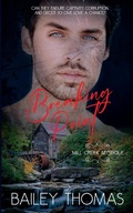 Cover: Breaking Point - BTA Publishing