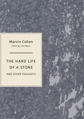 Cover: The Hard Life of a Stone - Sagging Meniscus Press
