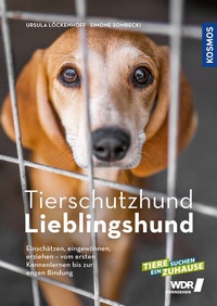 Abbildung von: Tierschutzhund Lieblingshund - Kosmos