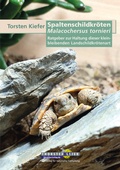 Cover: Spaltenschildkr&ouml;ten Malacochersus tornieri - Kleintierverlag