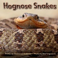 Cover: Hognose Snakes - AO Press