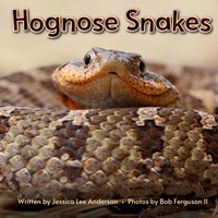 Enlarge image Cover: Hognose Snakes - AO Press