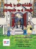 Cover: Stuck in the Middle - MT Zion Ridge Press LLC