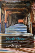 Cover: North Shore - Ben Yehuda Press