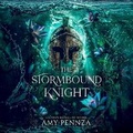 Cover: The Stormbound Knight - DREAMSCAPE MEDIA