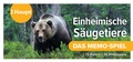Abbildung von: Einheimische Säugetiere - das Memo-Spiel - Haupt Verlag