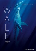 Cover: Wale - Gerstenberg
