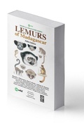 Cover: Lemurs of Madagascar - Re:wild