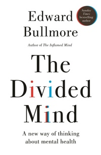 Enlarge image Cover: The Divided Mind - New River Books Ltd