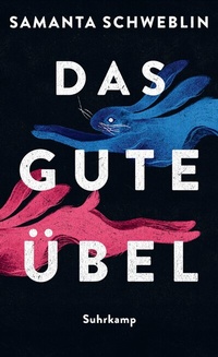 Abbildung von: Das gute Übel - Suhrkamp
