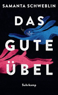 Abbildung von: Das gute Übel - Suhrkamp