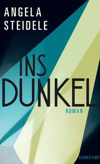 Abbildung von: Ins Dunkel - Suhrkamp