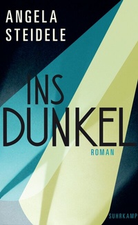 Abbildung von: Ins Dunkel - Suhrkamp