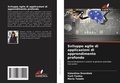 Cover: Sviluppo agile di applicazioni di apprendimento profondo - Edizioni Sapienza