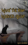 Cover: What The Rain Washes Away - Kevin Densmore
