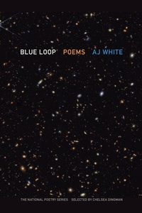 Enlarge image Cover: Blue Loop - University of Georgia Press