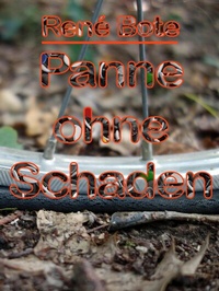 Abbildung von: Panne ohne Schaden - neobooks