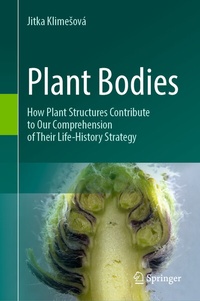 Abbildung von: Plant Bodies - Springer