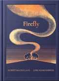 Cover: The Night Creatures: Firefly - Magic Cat Publishing