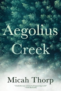 Abbildung von: Aegolius Creek - Type Eighteen Books