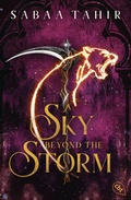 Cover: A Sky Beyond the Storm - cbt