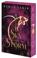 Cover: A Sky Beyond the Storm - cbt