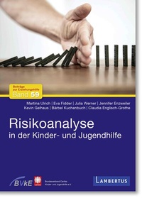 Abbildung von: Risikoanalyse in der Kinder- und Jugendhilfe - Lambertus