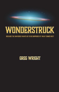 Enlarge image Cover: Wonderstruck - Methow Press