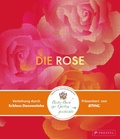 Cover: Die Rose - Prestel