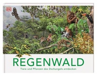 Abbildung von: Regenwald - Dorling Kindersley Verlag