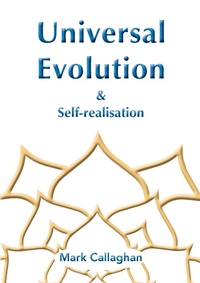 Enlarge image Cover: Universal Evolution - Tatterdemalion Blue