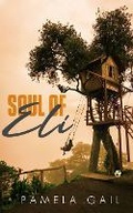 Cover: Soul of Eli - Brackish Publishing