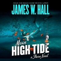 Enlarge image Cover: Mean High Tide - DREAMSCAPE MEDIA
